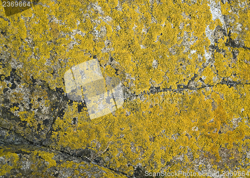 Image of rock formation near Mont Saint Michel Abbey