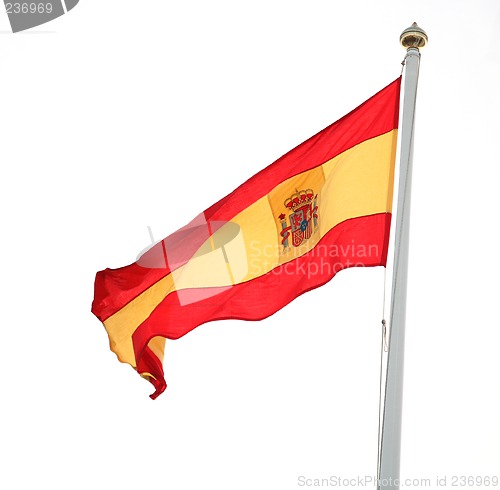 Image of Spanish National Flag