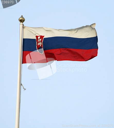Image of Slovak flag