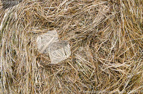 Image of close-up shot of a large bail of hay
