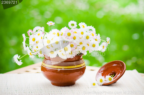 Image of Bouquet of delicate daisies in a pot at the table  