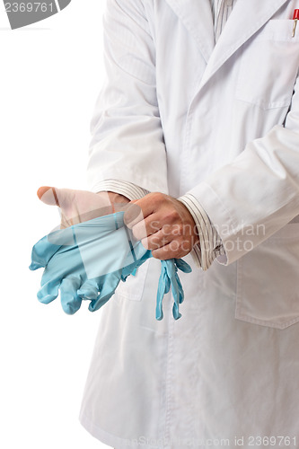 Image of Doctor or Scientist putting on gloves