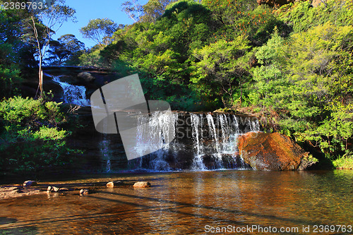 Image of Queen's Cascades, Bllue Mountains National Park Wentworth Falls