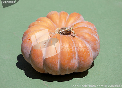 Image of Fresh orange pumpkin on green floor