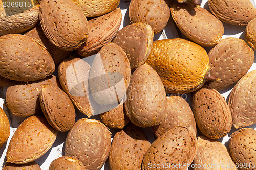 Image of Almonds unpeeled nuts on white wooden background