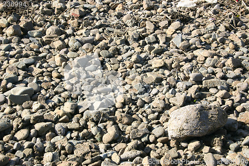 Image of stoney beach