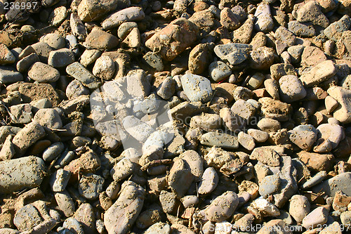 Image of pebbles on the beach
