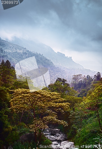 Image of Dramatic vertical landscape. Forest and Stream