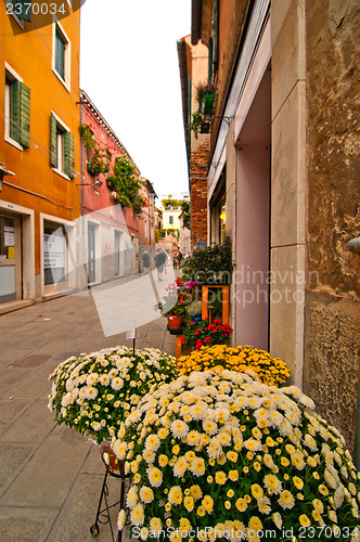Image of Venice Italy unusual scenic view