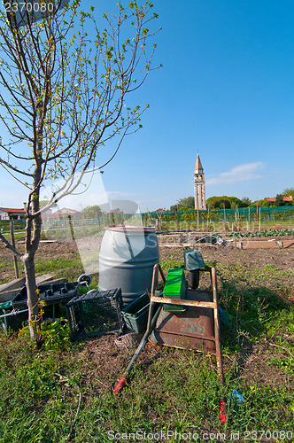 Image of Venice Burano Mazorbo vineyard