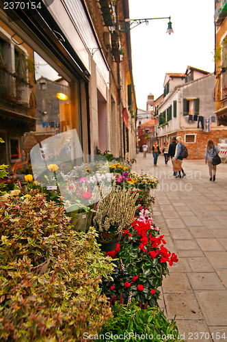 Image of Venice Italy unusual scenic view