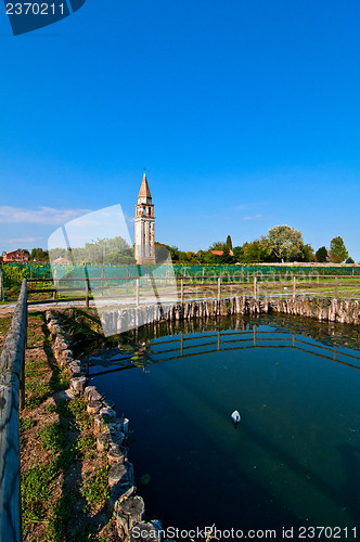 Image of Venice Burano Mazorbo vineyard