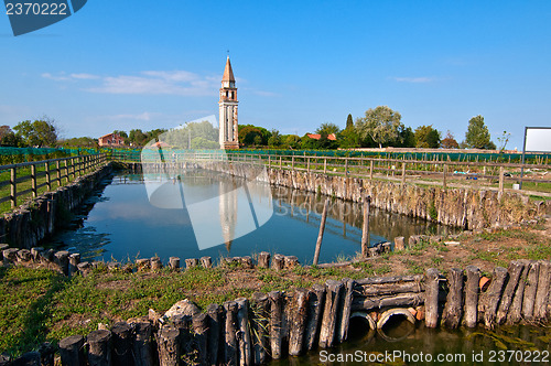 Image of Venice Burano Mazorbo vineyard