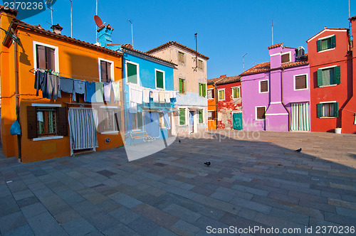 Image of Italy Venice Burano island