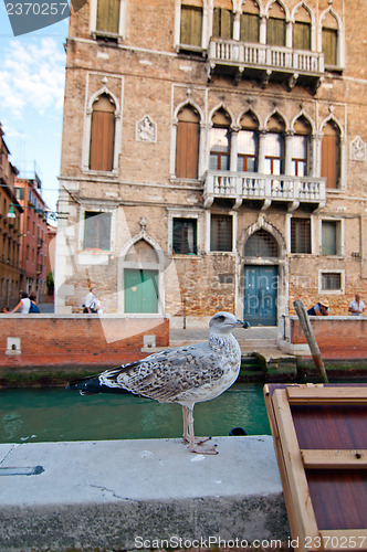 Image of Venice Italy pittoresque view