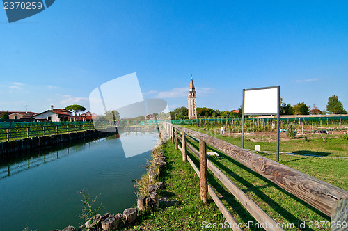 Image of Venice Burano Mazorbo vineyard