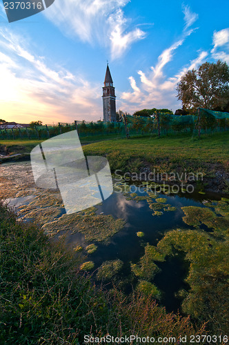 Image of Venice Burano Mazorbo vineyard