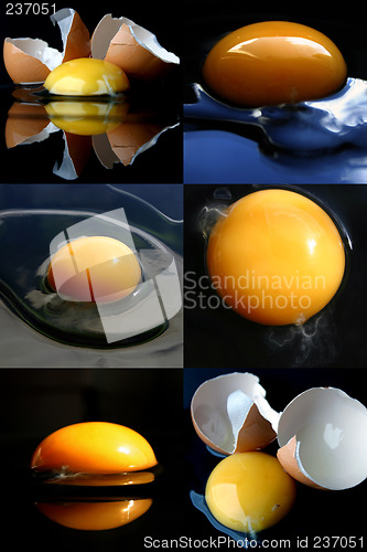 Image of Broken eggs collage