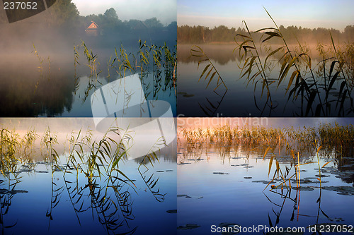 Image of Early summer morning collage