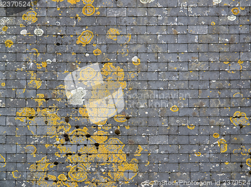 Image of overgrown roof