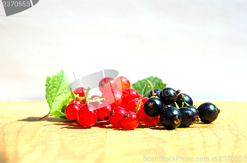 Image of Red and black currants closeup