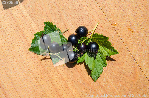 Image of Black currants