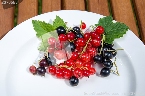 Image of Red and black currants