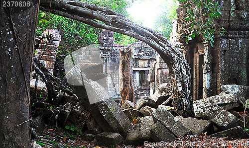 Image of Jungle temple