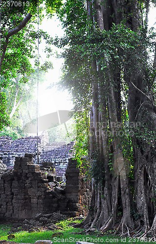 Image of Jungle temple