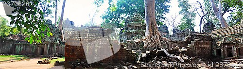 Image of Ta Prohm, temple of trees