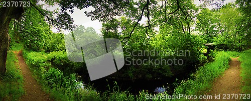 Image of Along the creek