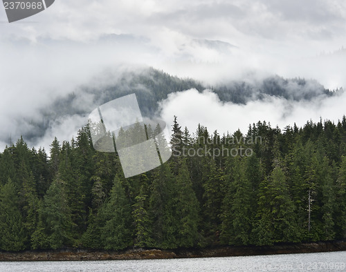 Image of Mist On The Mountains