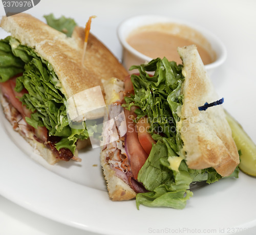 Image of Turkey Sandwich Lunch