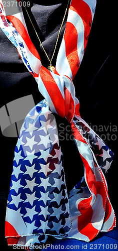Image of Usa scarf