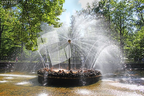 Image of Fountain in Peterhof sun