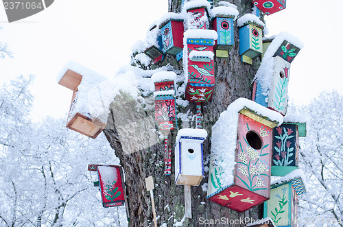 Image of decor birdhouse nesting box snow tree trunk winter 