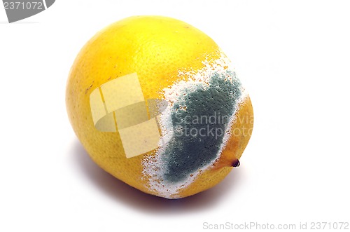 Image of Moulded lemon