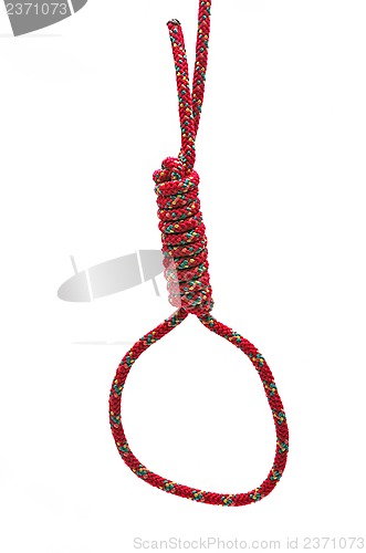 Image of Noose