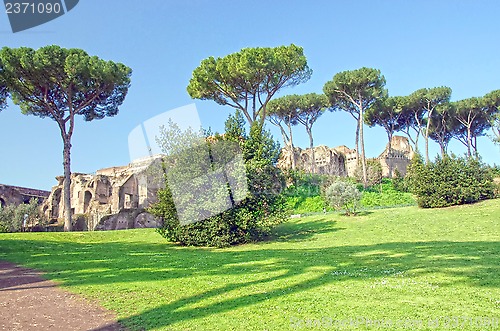 Image of Palatine hill