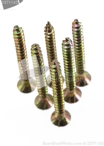 Image of group wood screw thread