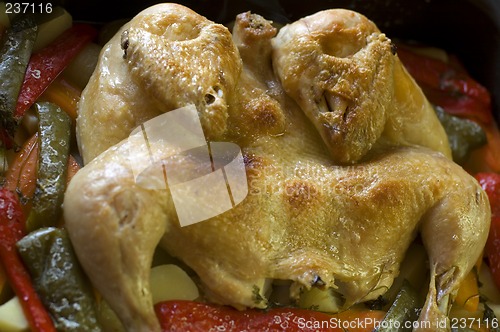 Image of chicken