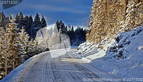 Image of Driving home for Christmas 