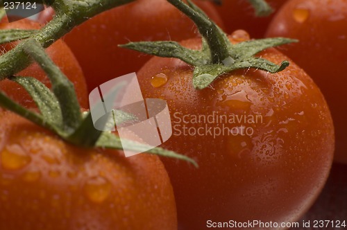 Image of tomato