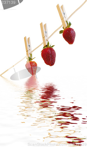 Image of strawberrys reflection white