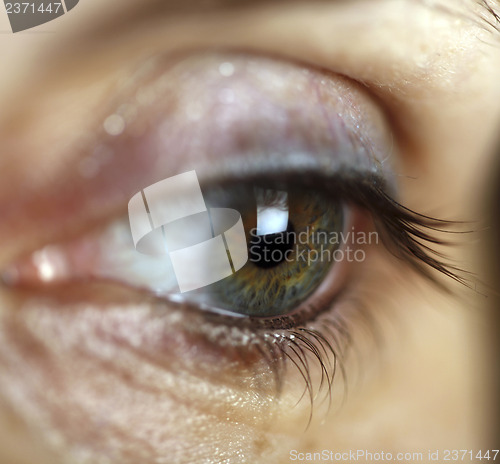 Image of Green eye