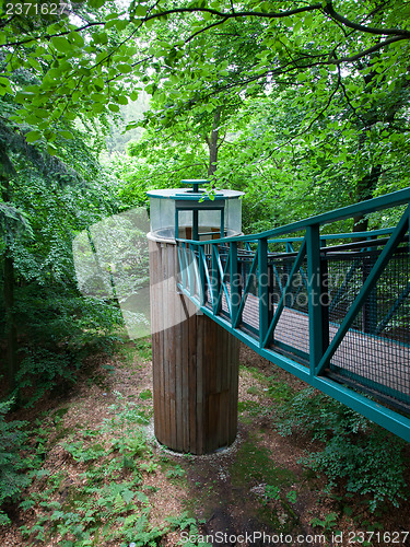 Image of Green pathway through the trees