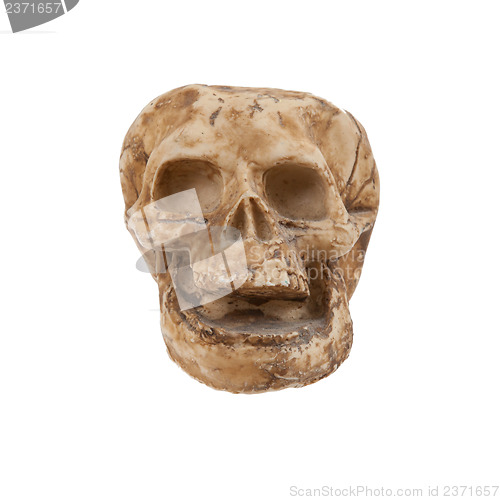 Image of Single old skull isolated