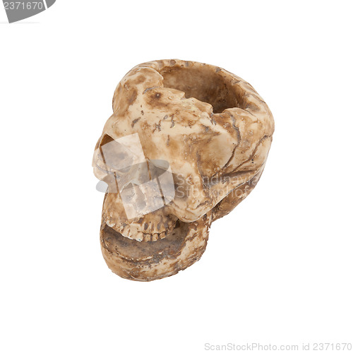 Image of Single old skull isolated