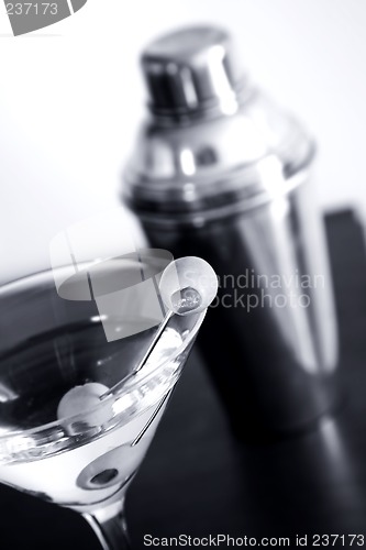 Image of Vodka Martini Still Life