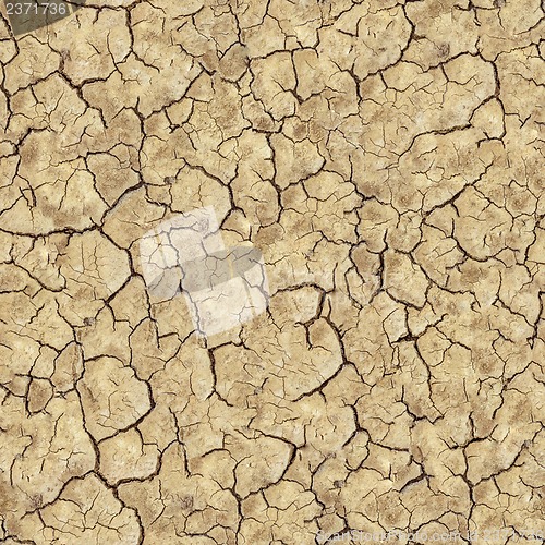 Image of Cracked Brown Soil. Seamless Texture.